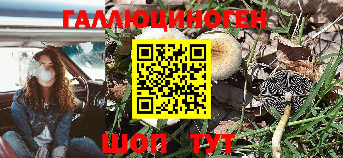 Подольск  Галлюциногенные грибы GOLDEN TEACHER  Вход с VPN 